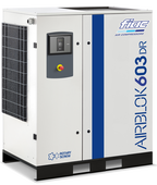 Винтовой компрессор Fiac AIRBLOK AX603DR DRY 10 на ps24.ru